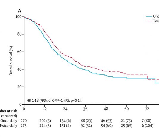 CONVERT: An International Randomized Trial of Concurrent Chemo-Radiotherapy Comparing Twice-Daily and Once-Daily Radiotherapy Schedules in Patients with Limited-Stage Small Cell Lung Cancer and Good Performance Status